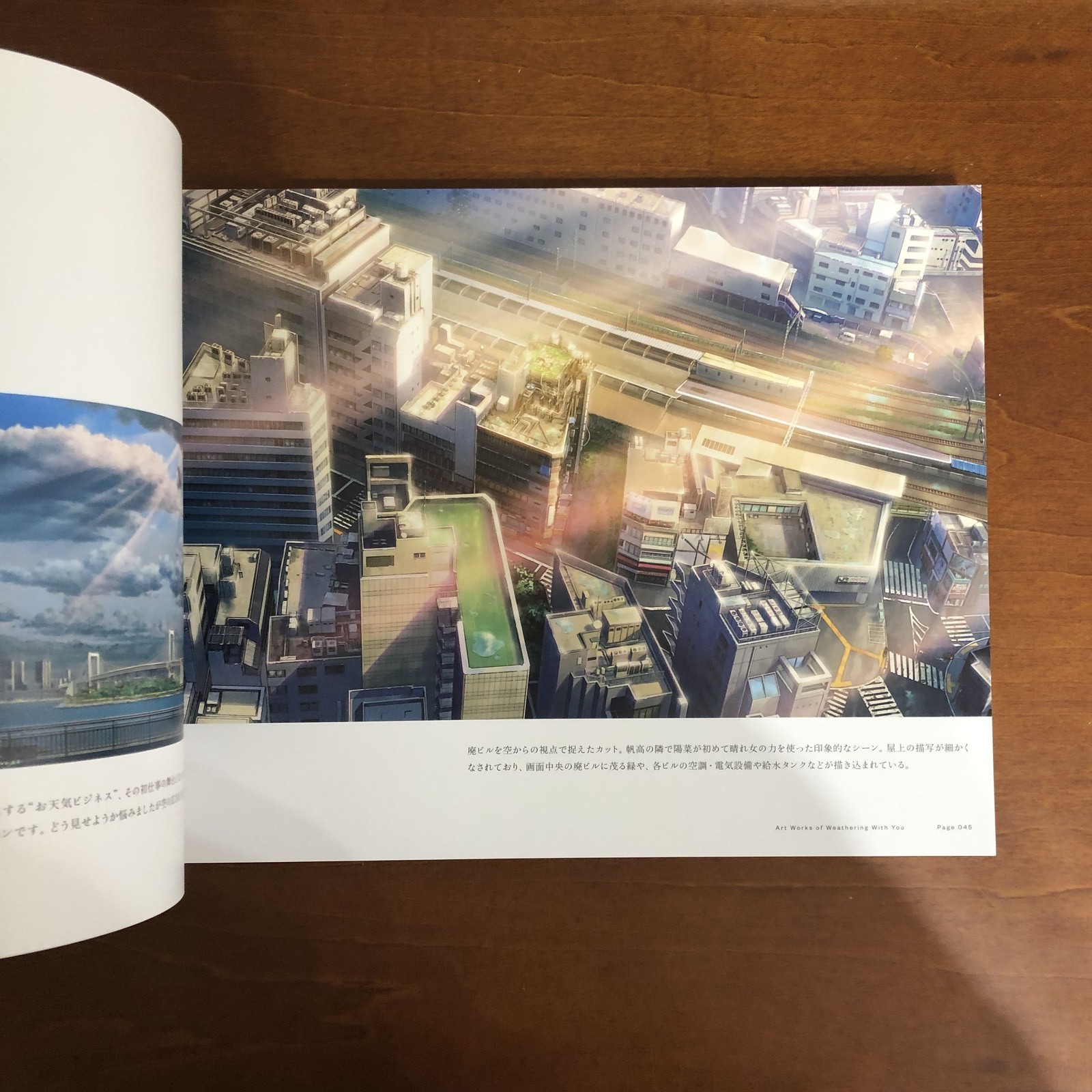 Makoto Shinkai Weathering With You Art Book Illustration