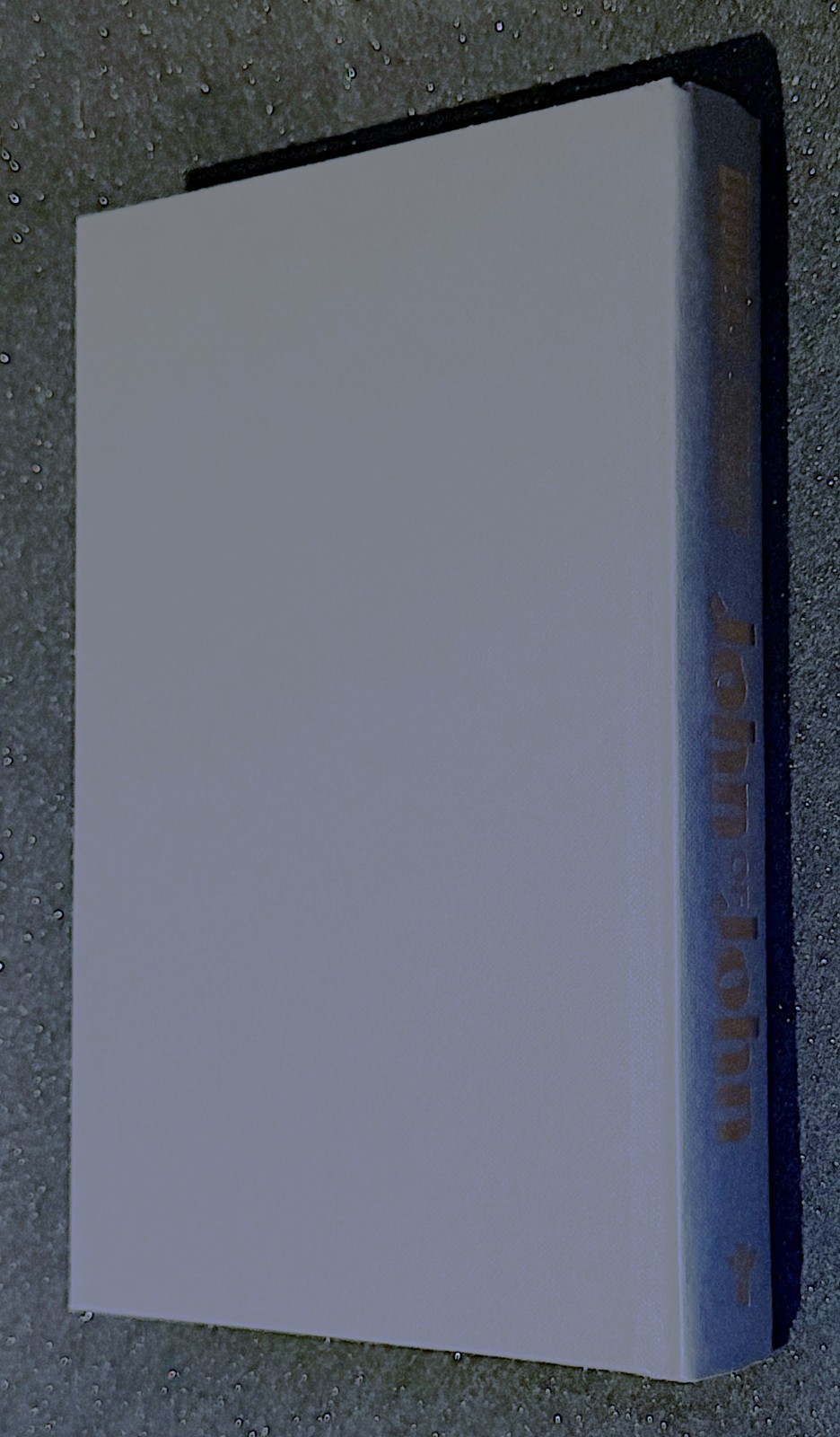 John of John by Douglas Stuart (Signed First Printing)