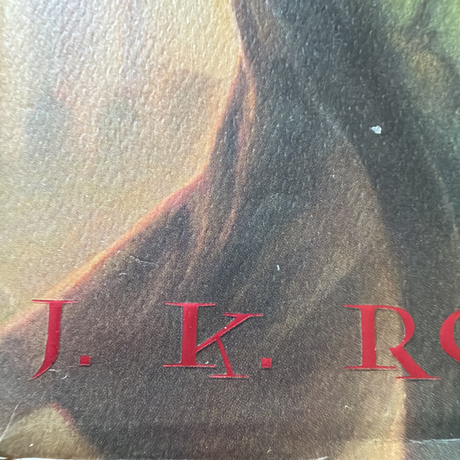 Harry Potter and the Deathly Hallows J.K. Rowling 1 of 1 ‘07 RARE Page Error