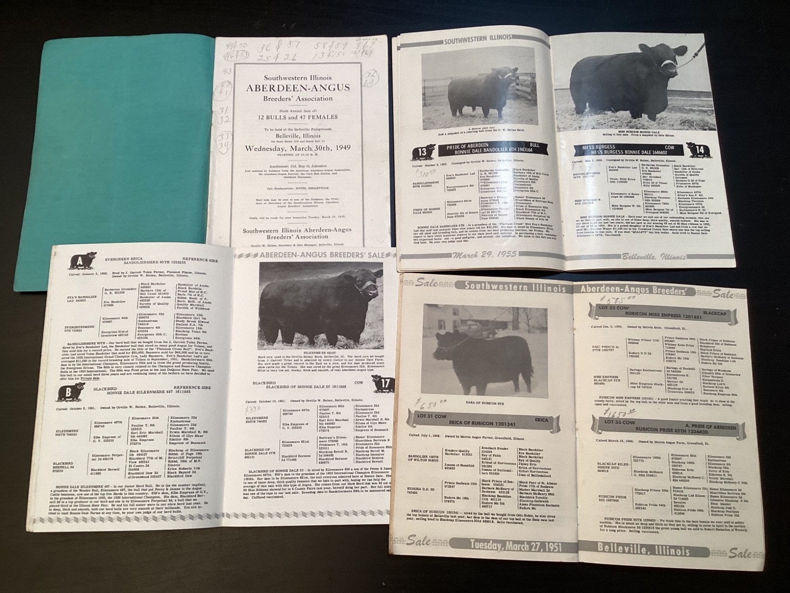 9 Vtg. 1950s Abeerdeen-Angus Books/Booklets History Rules Breeders Sales +