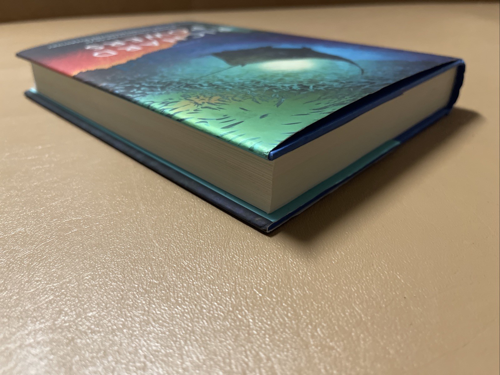 Playground Hardcover Richard Powers
