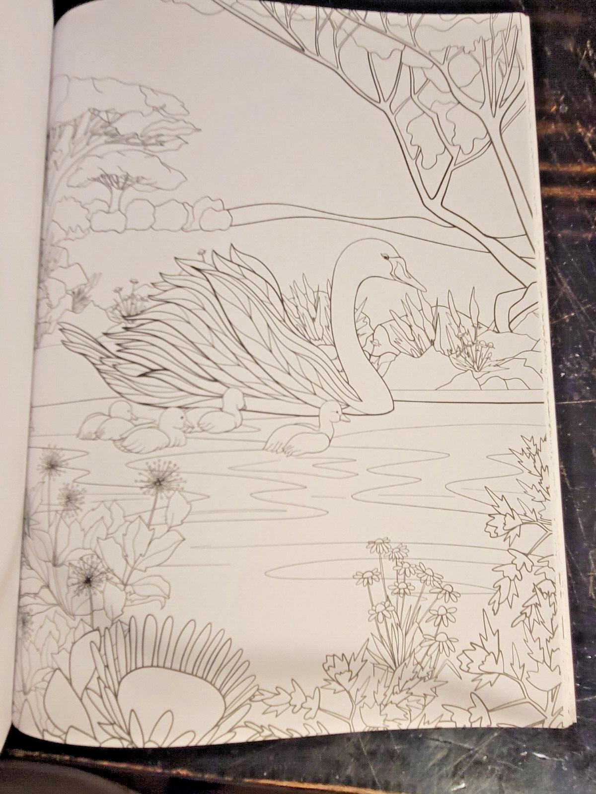 COLORS OF THE WILD! Vol. 18 Adult Coloring Book With 47 Prints Ready To Frame!
