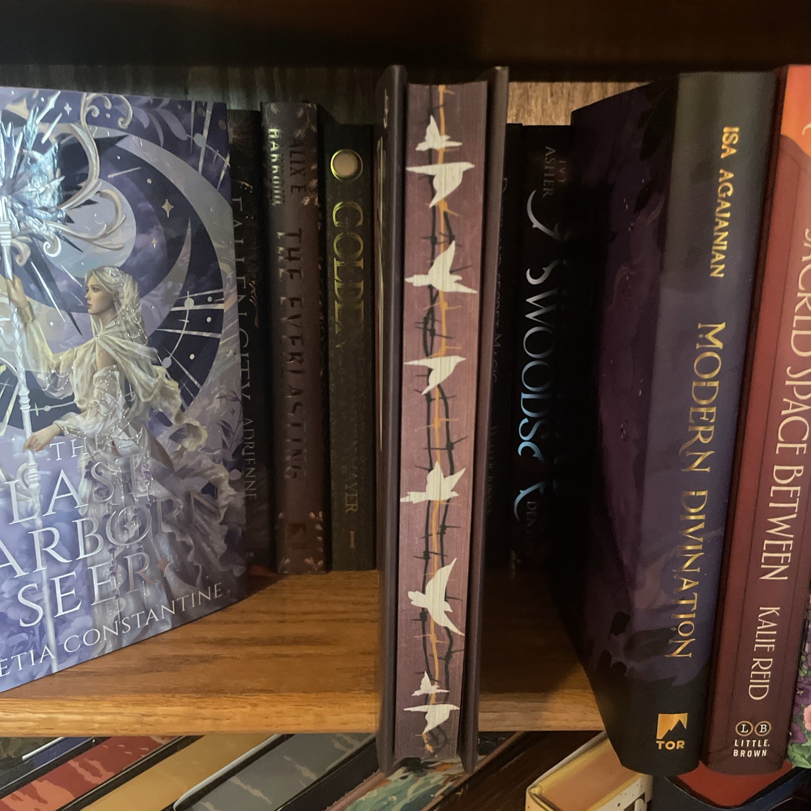 To Cage A Wild Bird By Brooke Fast Allurial Special Edition Edges Hardcover
