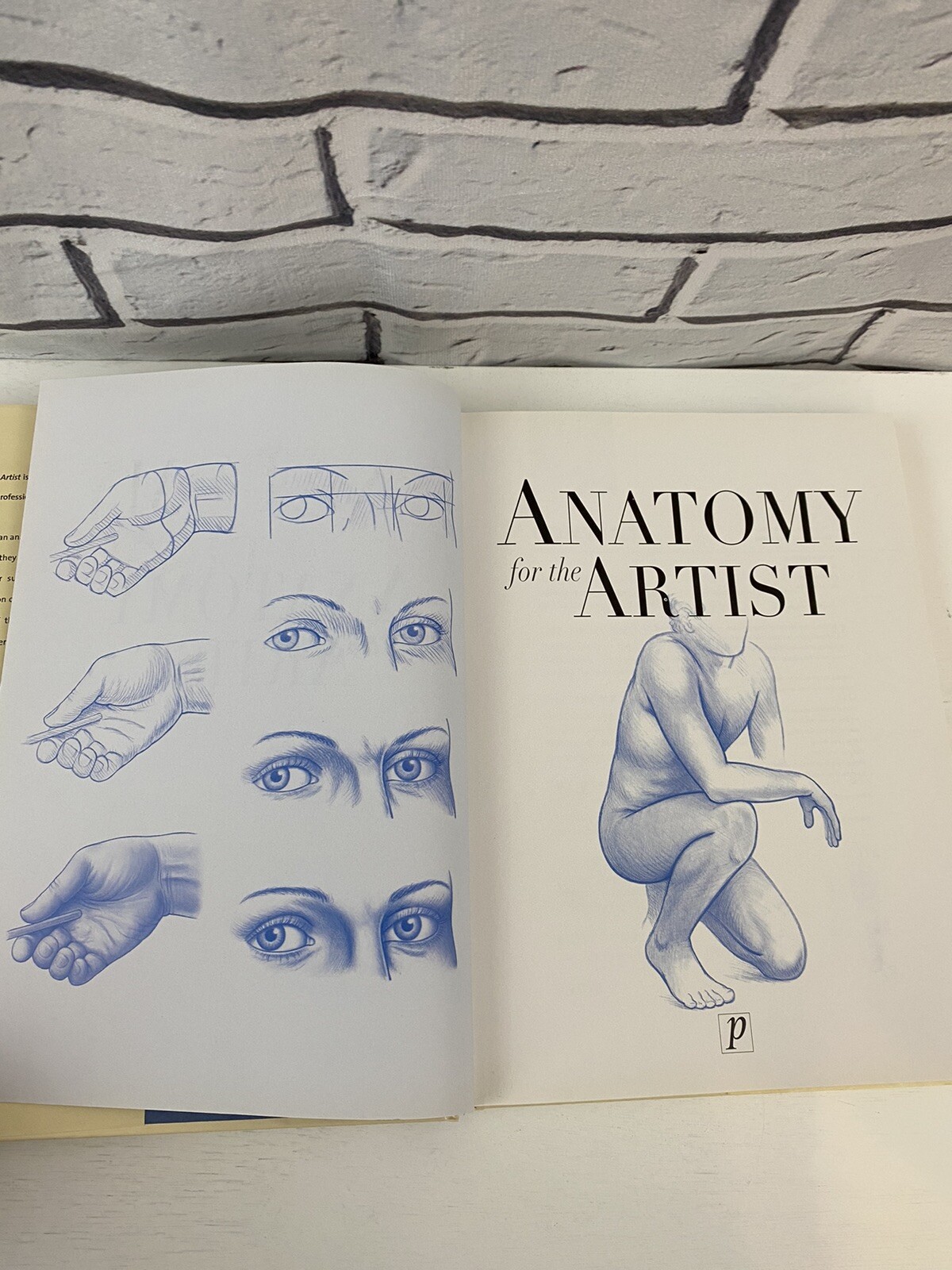 Essential Art Ser.: Anatomy for the Artist (2003, Hardcover)