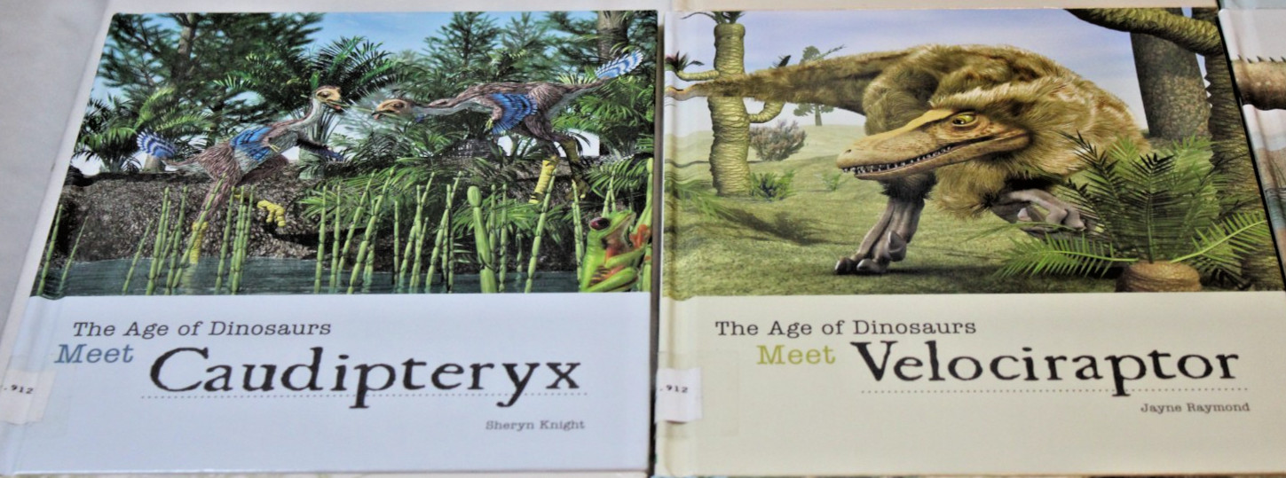 Lot 14 Library Bound Hardcover The Age of Dinosaurs Books