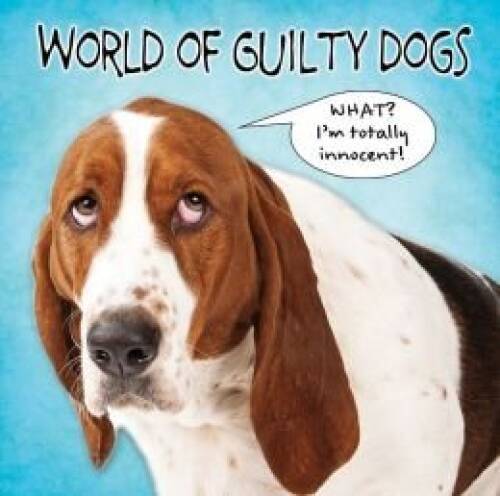 World of Guilty Dogs – Hardcover By Publications International – GOOD