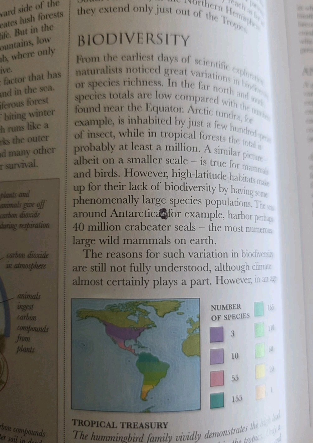 Smithsonian Institution Animal:The Definitive Visual Guide to the World’s….