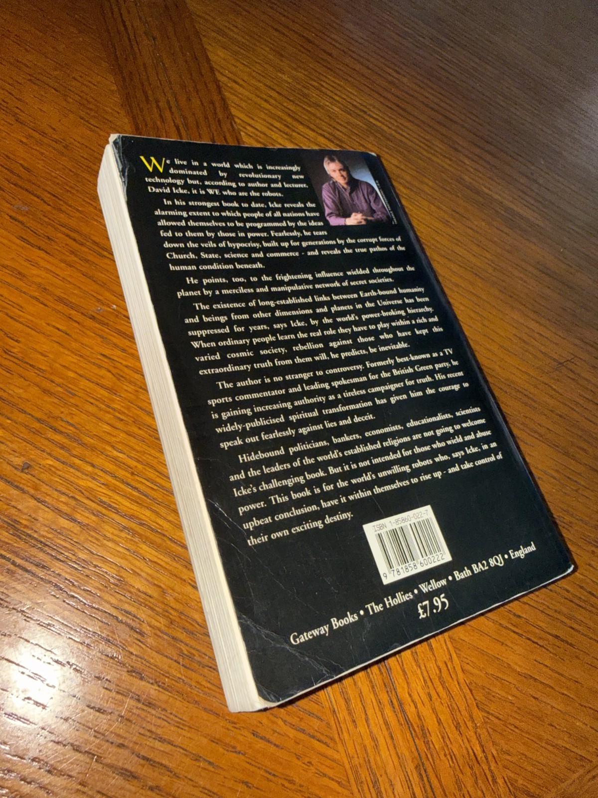 Robots’ Rebellion Vol. 1 : The Story of the Spiritual Renaissance by David Icke