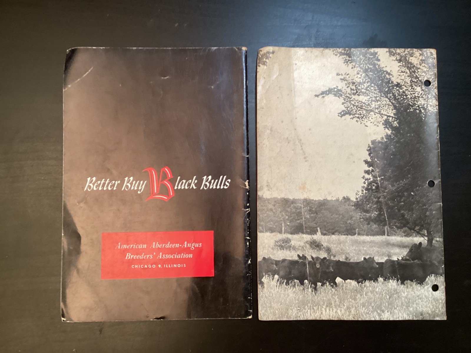 9 Vtg. 1950s Abeerdeen-Angus Books/Booklets History Rules Breeders Sales +