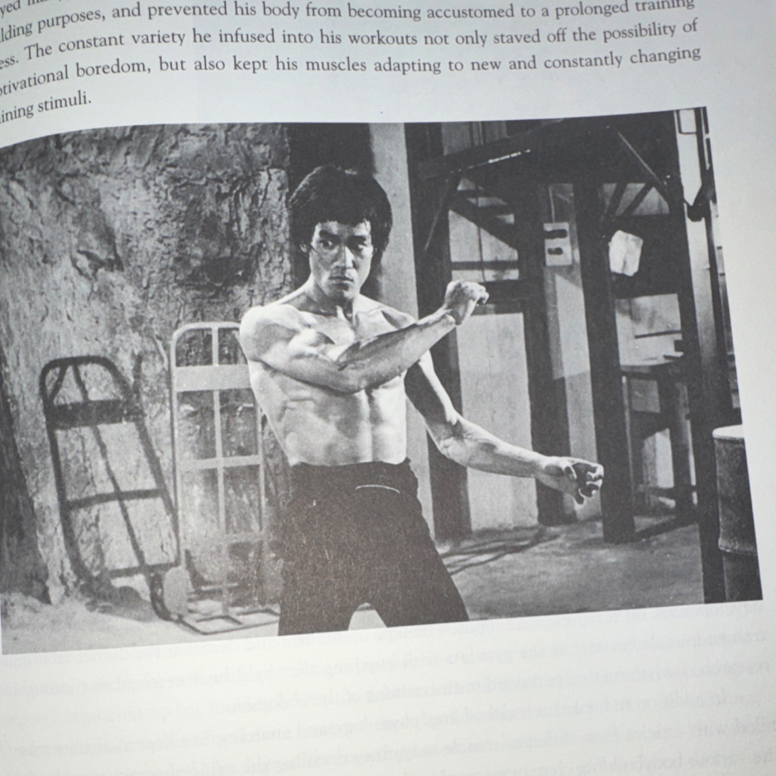 Bruce Lee The Art of Expressing the Human Body Bruce Lee Paperback Martial Arts