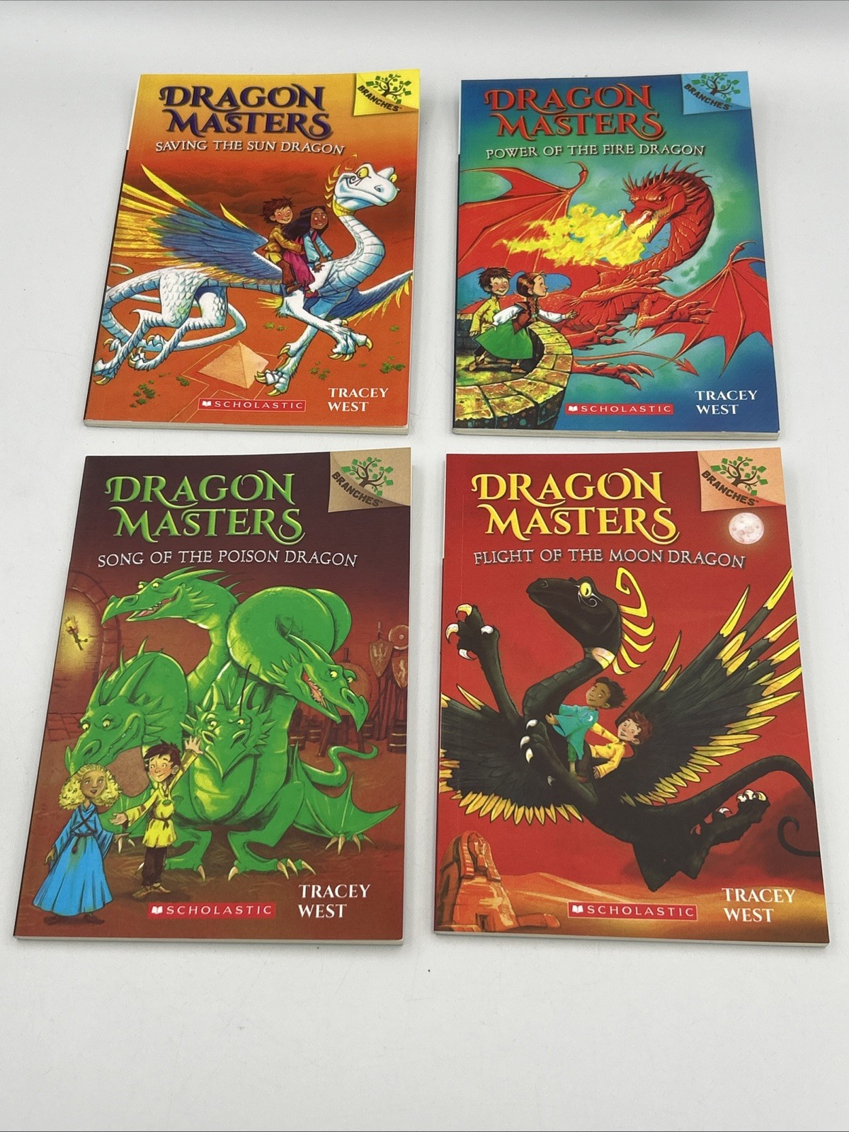 Dragon Masters Book Lot 13 PB Books Tracey West 2, 4-13, 16, 20 EUC Smoke Free