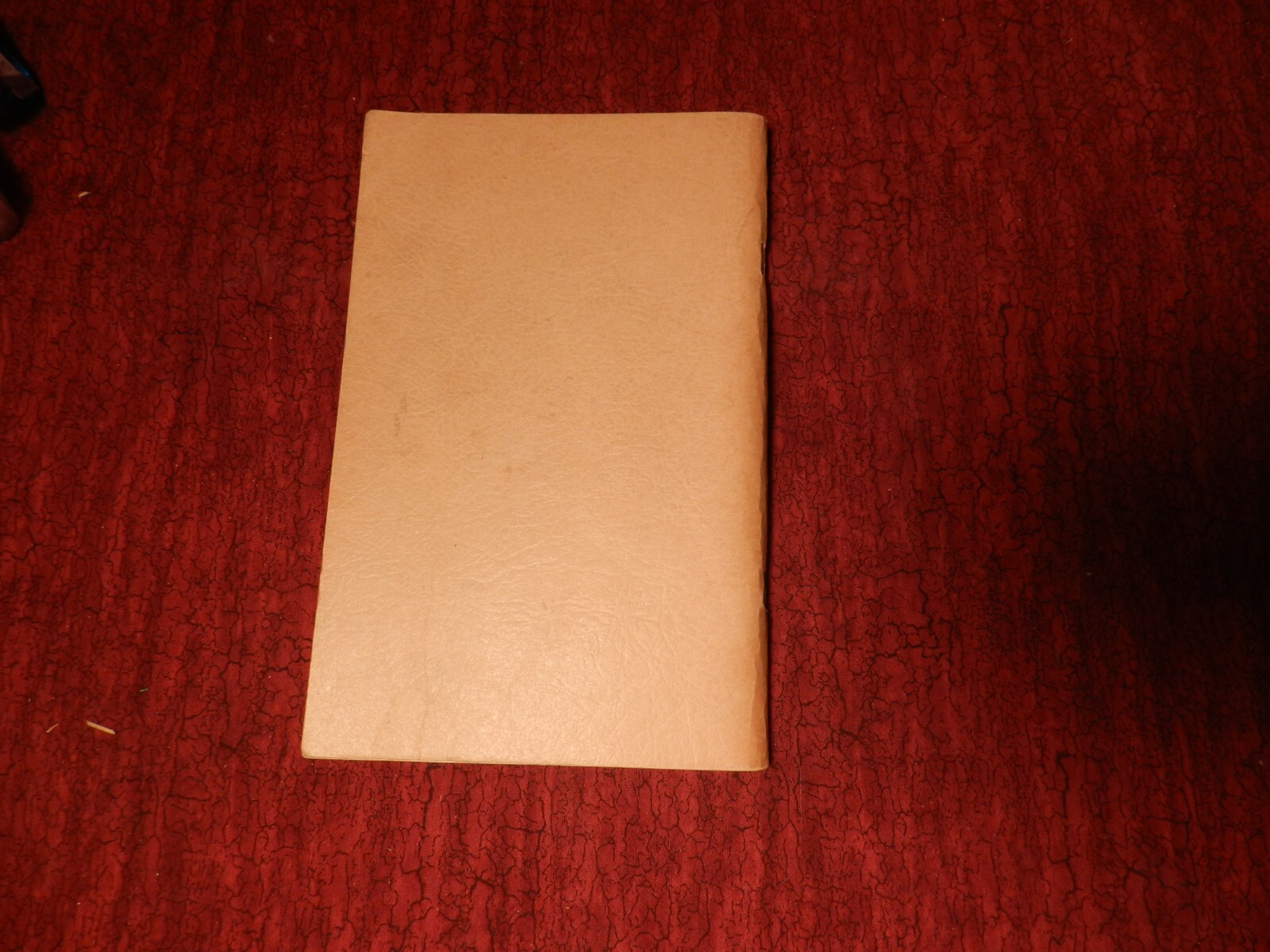 book A birders guide to the rio grande valley 1973 by James A. Lane 111 pages
