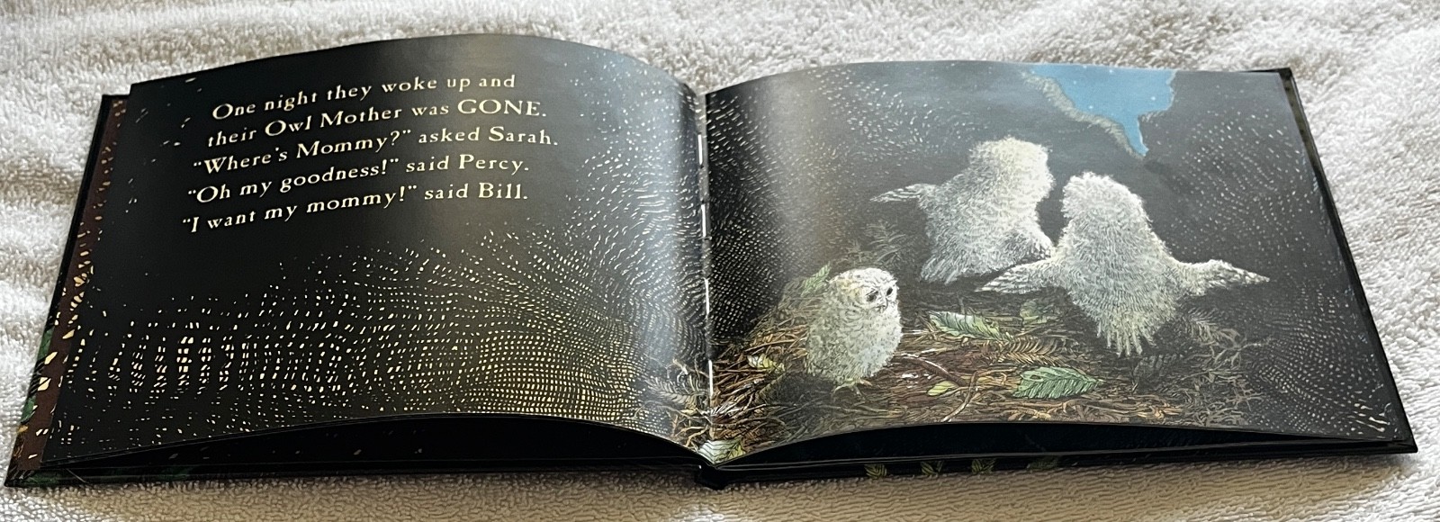 Owl🦉Babies📘Candlewick📀Storybook🥚Animations Book +DVD Martin Waddell FreeShip