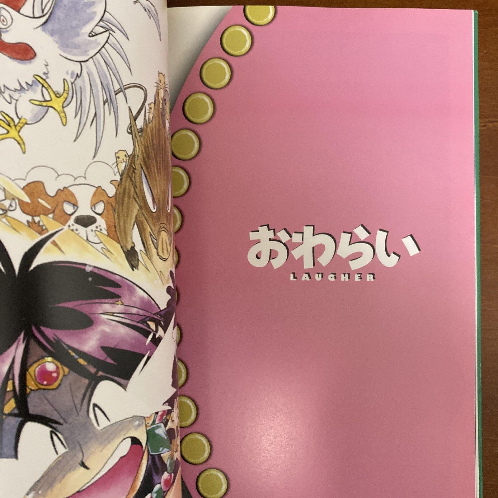 Slayers DRA-MATA Rui Araizumi Art Book Illustration