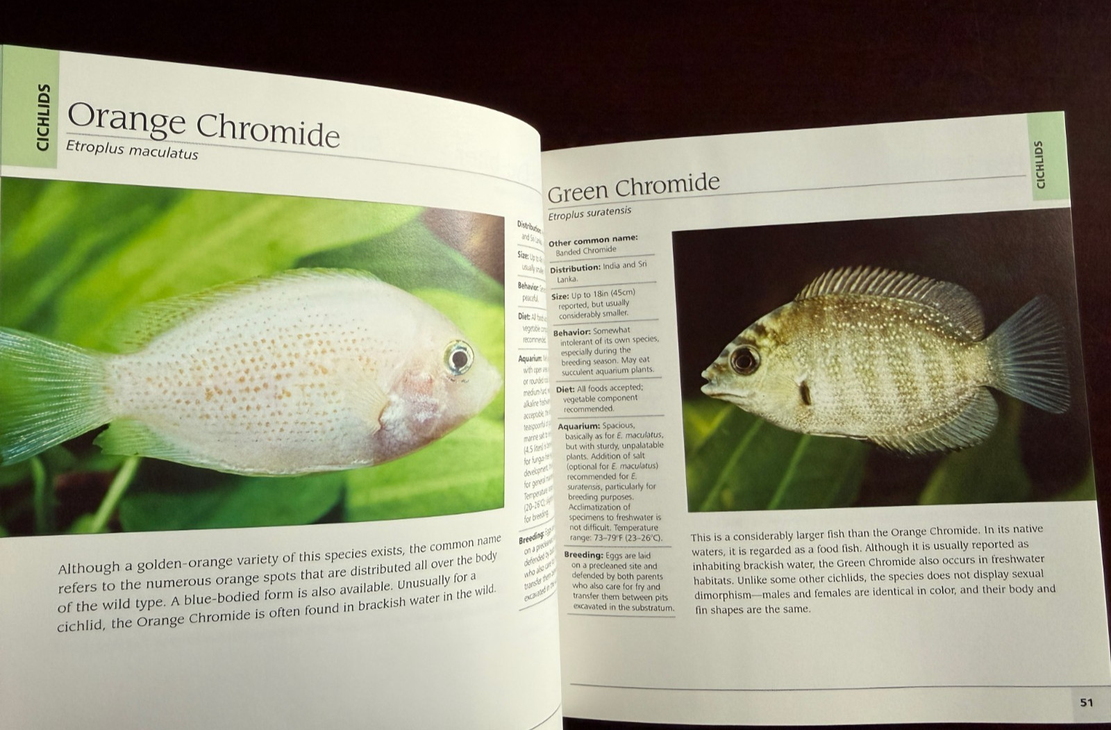 500 Freshwater Aquarium Fish: A Visual Reference Most Popular Species HC NICE!