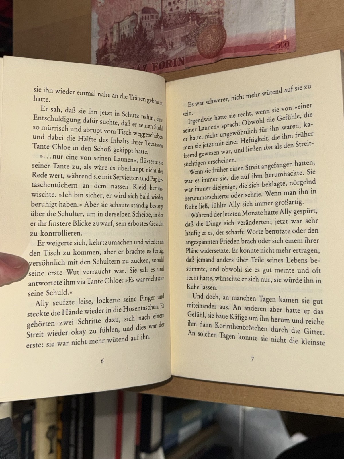 Anne Fine Die Stein-Menagerie Roman