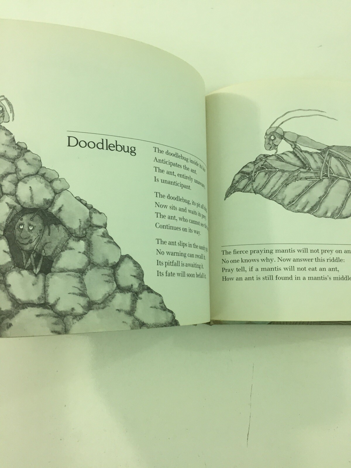 Bugs : Poems – Mary Ann Hoberman (1976, Hardcover)