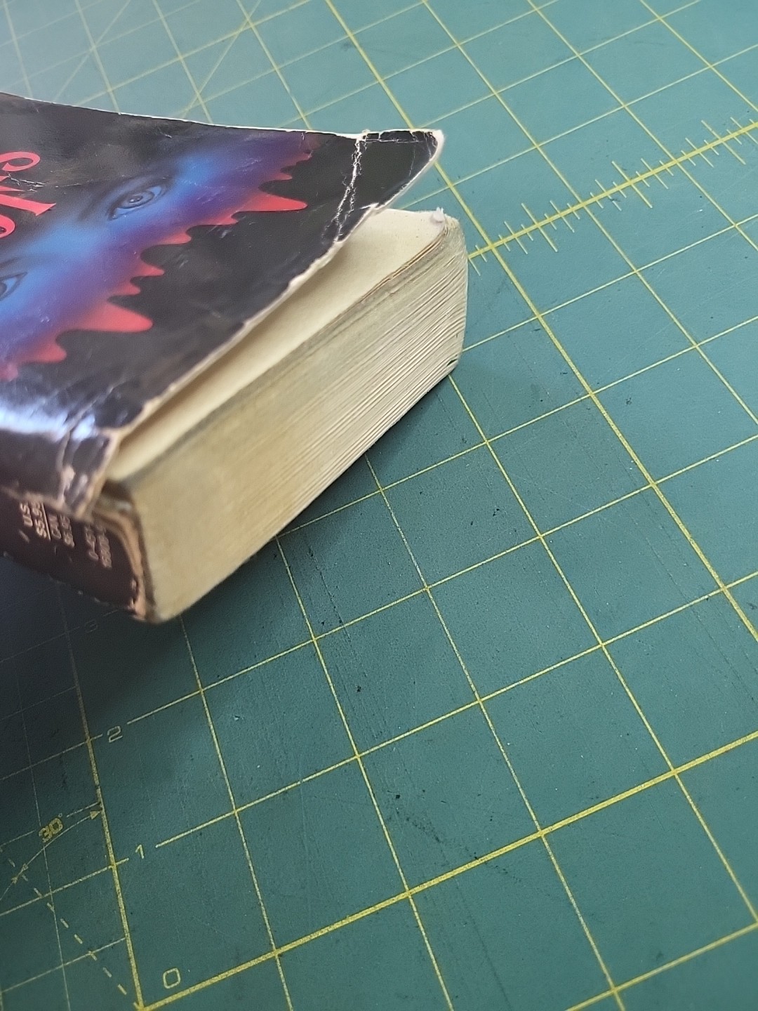 Stephen King ‘SALEM’S LOT – Signet Paperback – 1976 Horror Vintage Vampires