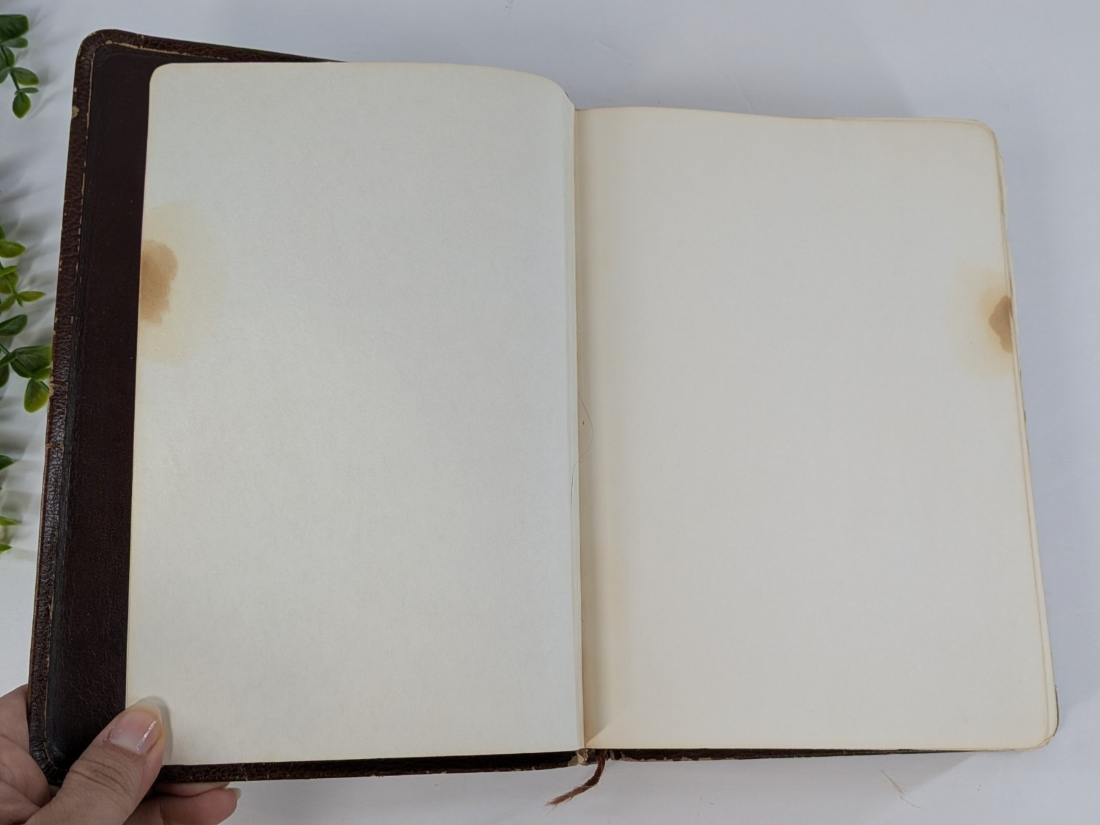 BISON GRAIN!✝️Vntg Ryrie Study Bible NASB 1978 Red Letter Moody Press Tab Index
