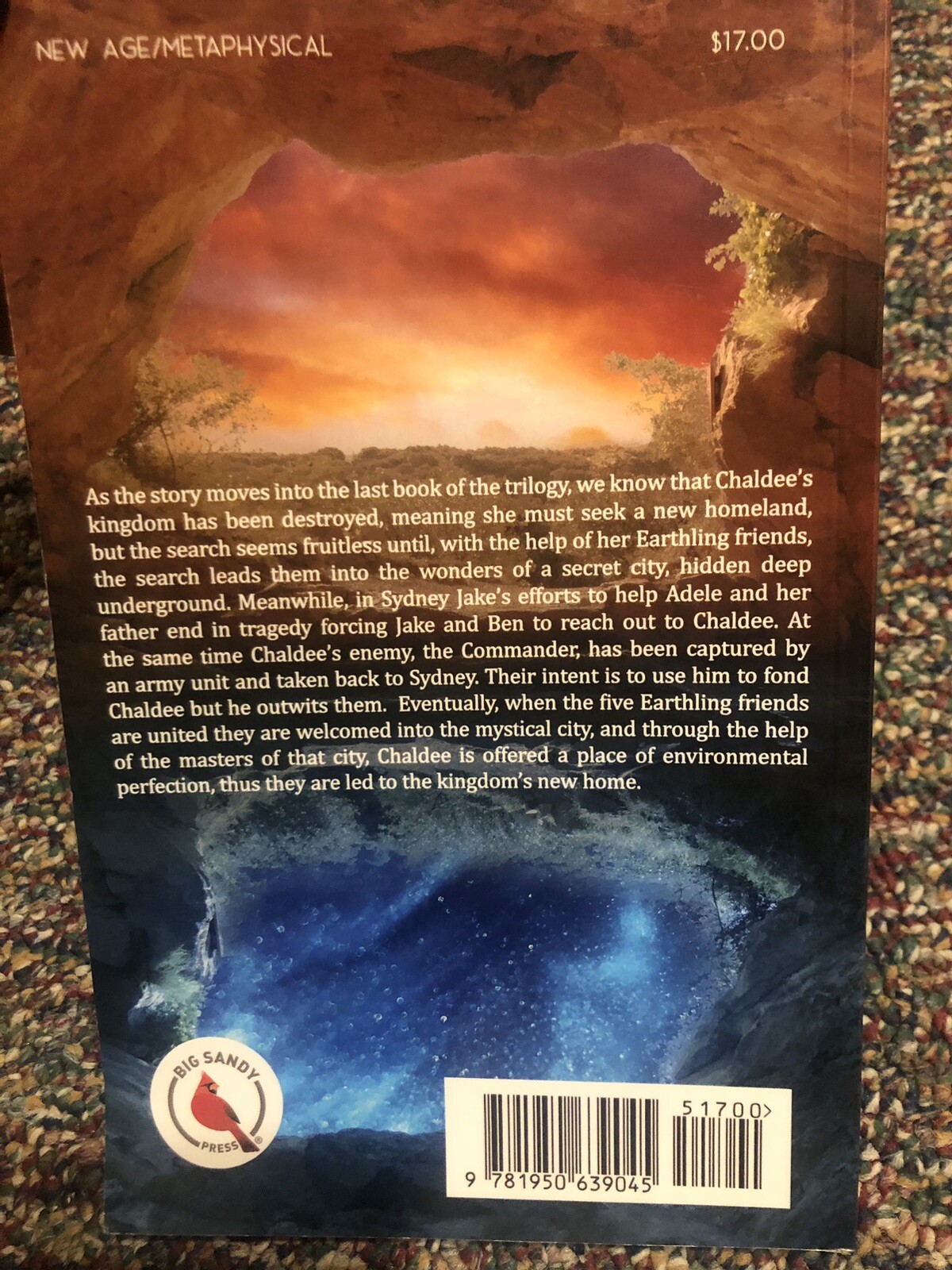 Lyn Willmott Beyond All Boundaries Trilogy – (Paperback)