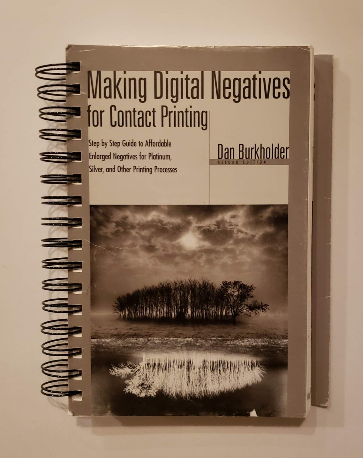 Making Digital Negatives for Contact Printing (Book & Disk)