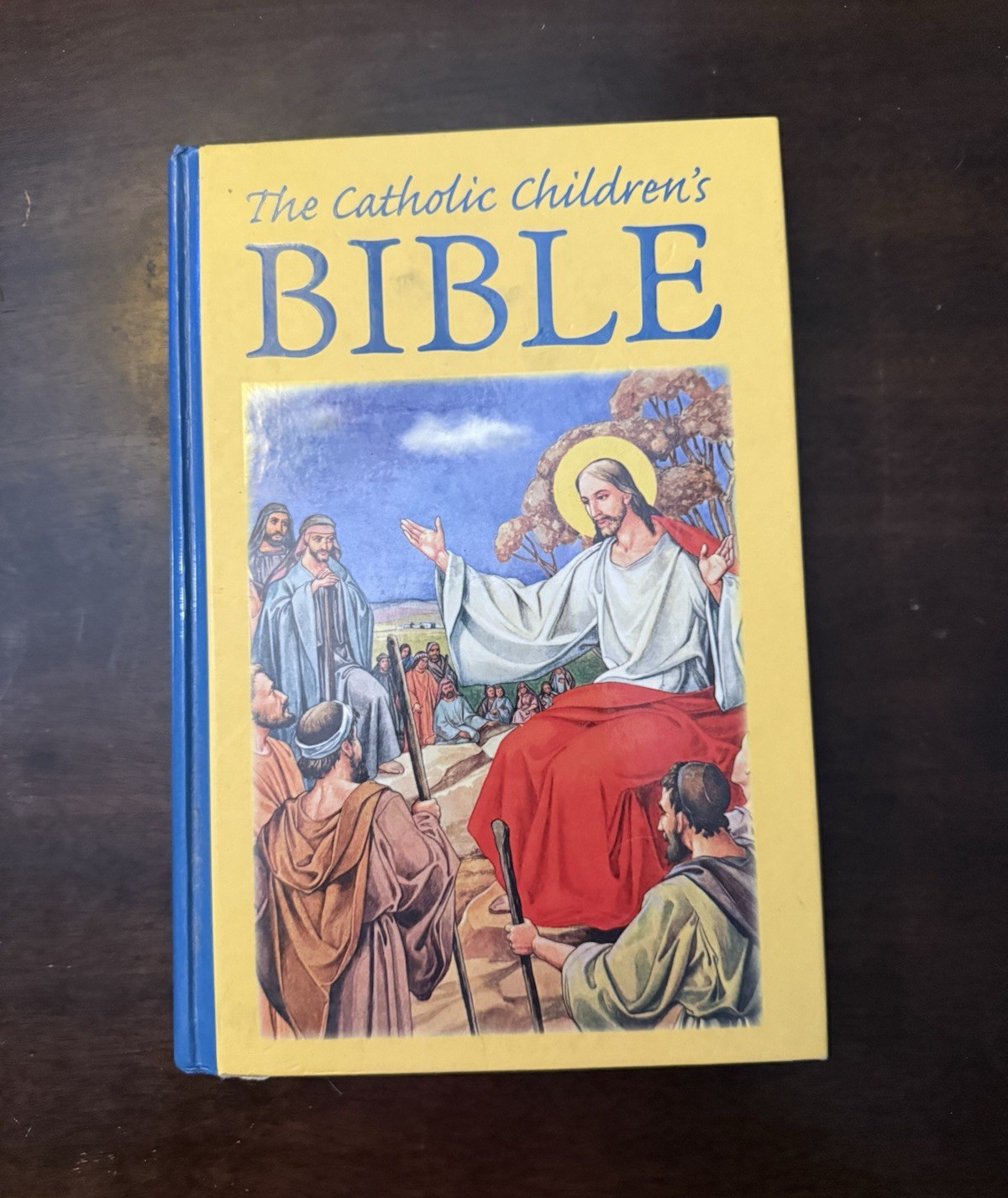 Regina Press Catholic Classics The Catholic Children’s Bible Illus Hardcover