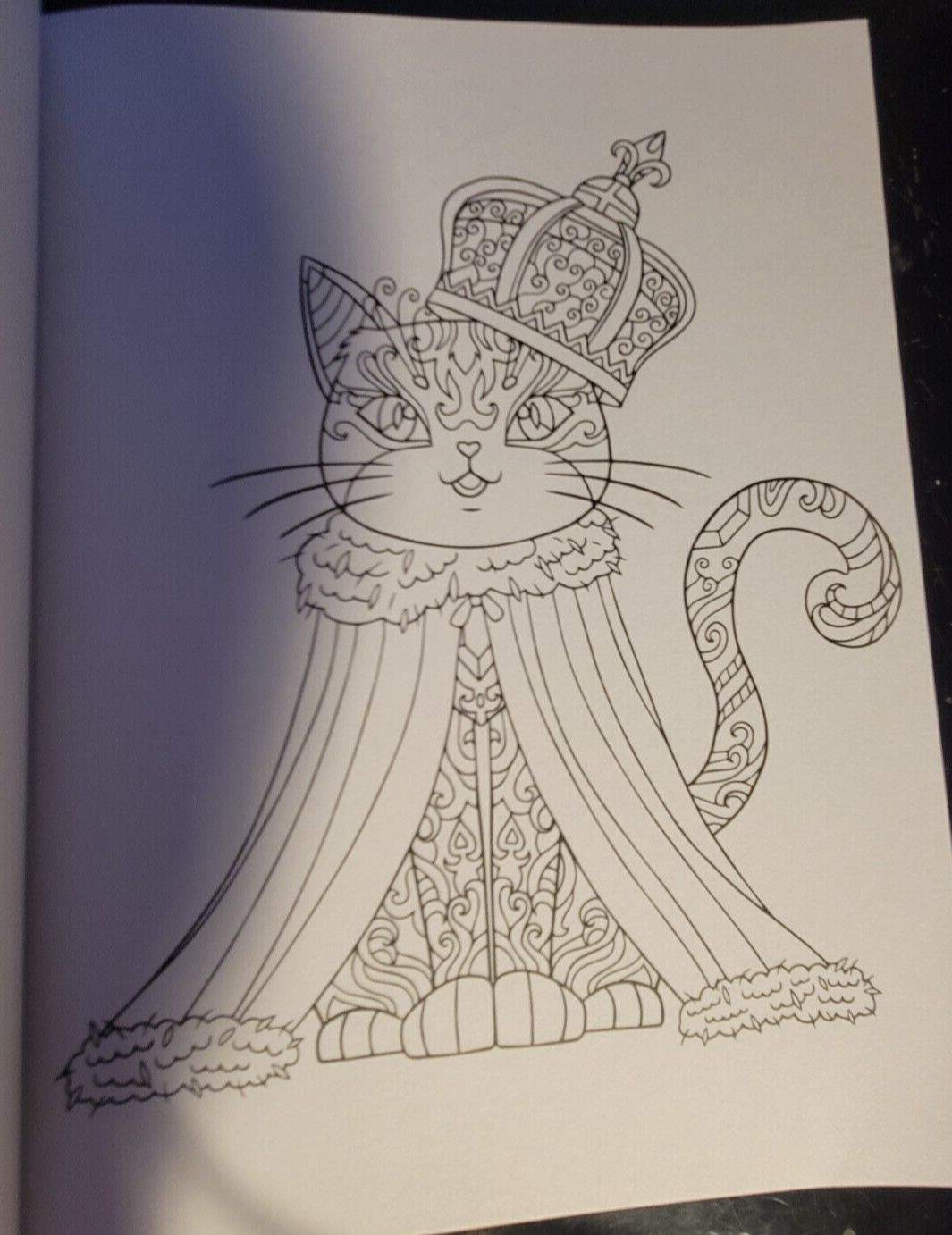 COLOR ME CALM JOURNAL Adult Coloring Book With 47 Prints Ready To Frame