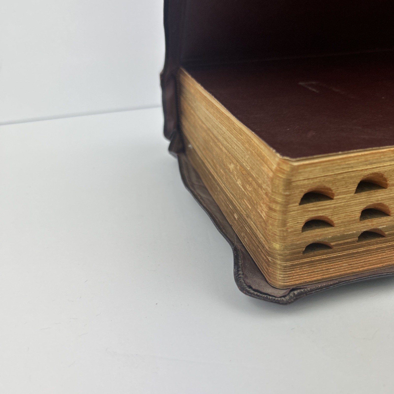 The Holy Bible: Holy Family Edition 1950 The Catholic Press Vintage Illustrated