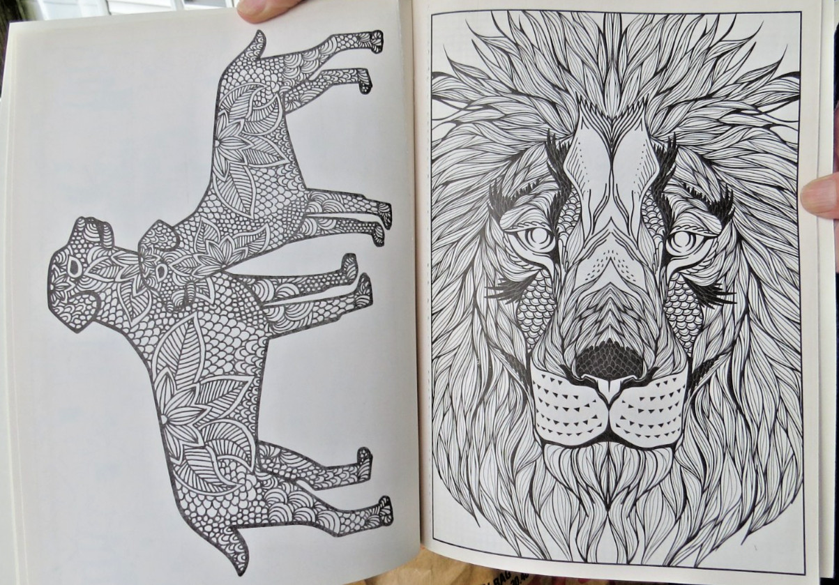 ADULT Cats and Dogs COLORING BOOK Relax Rewind bendon inc. Lions Tigers