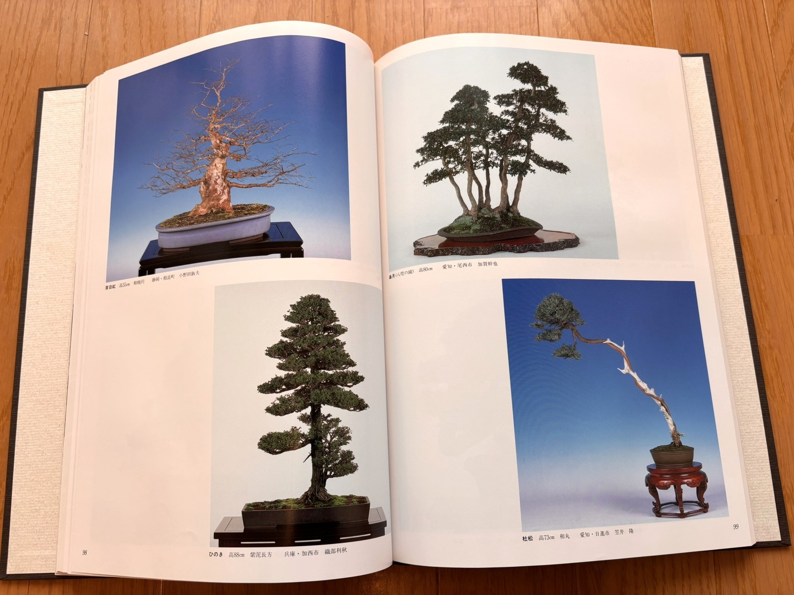 Nihon Bonsai Taikan Ten 17, 18th Set Exhibition Japanese Art Photobook used JPN