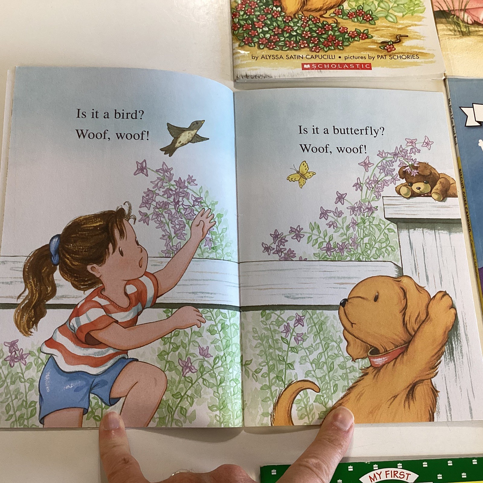 Biscuit Dog My First I Can Read Readers Kindergarten 1st Picture 12 Book Lot