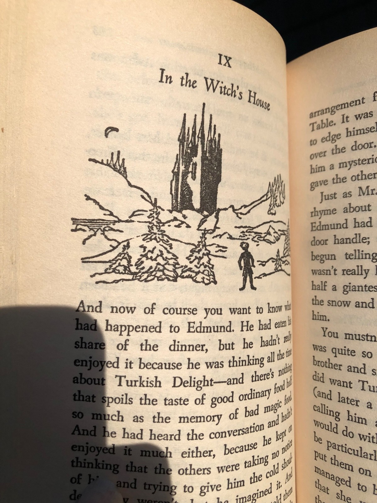 The Lion, the Witch and the Wardrobe CS Lewis First Collier Books Edition 1970