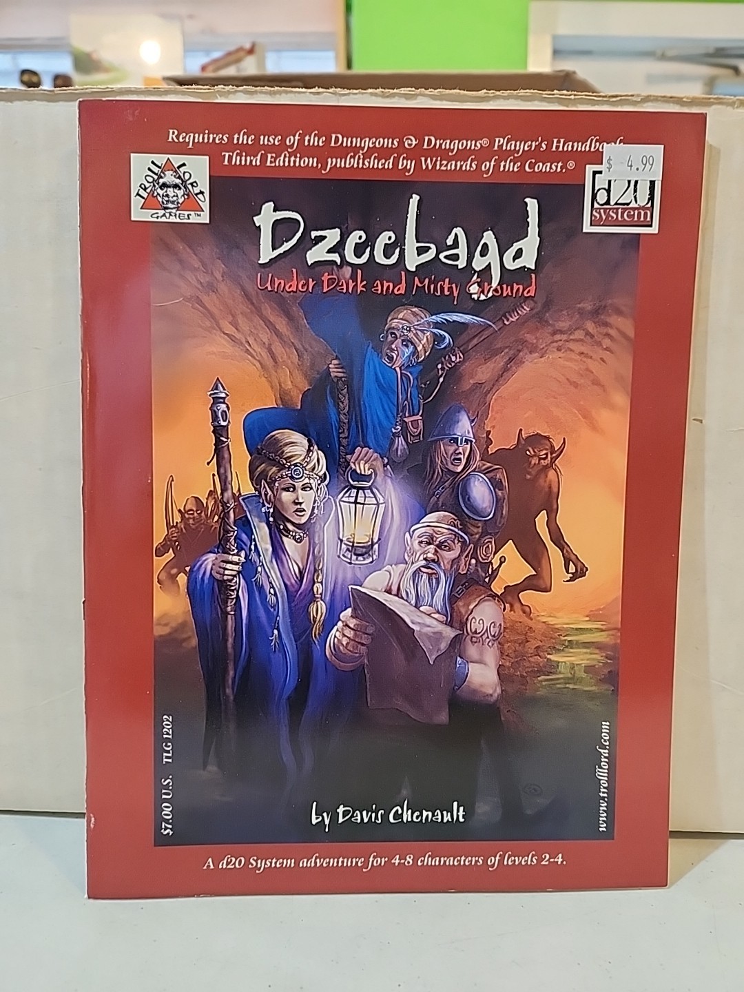 Dzeebagd : Under Dark and Misty Ground by Davis Chenault (Book, Other)