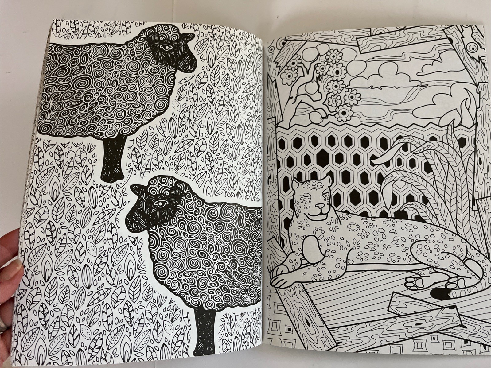 Lot of 4 ADULT COLORING BOOKS Animals Dogs Garden Eden Christian Bible Verses