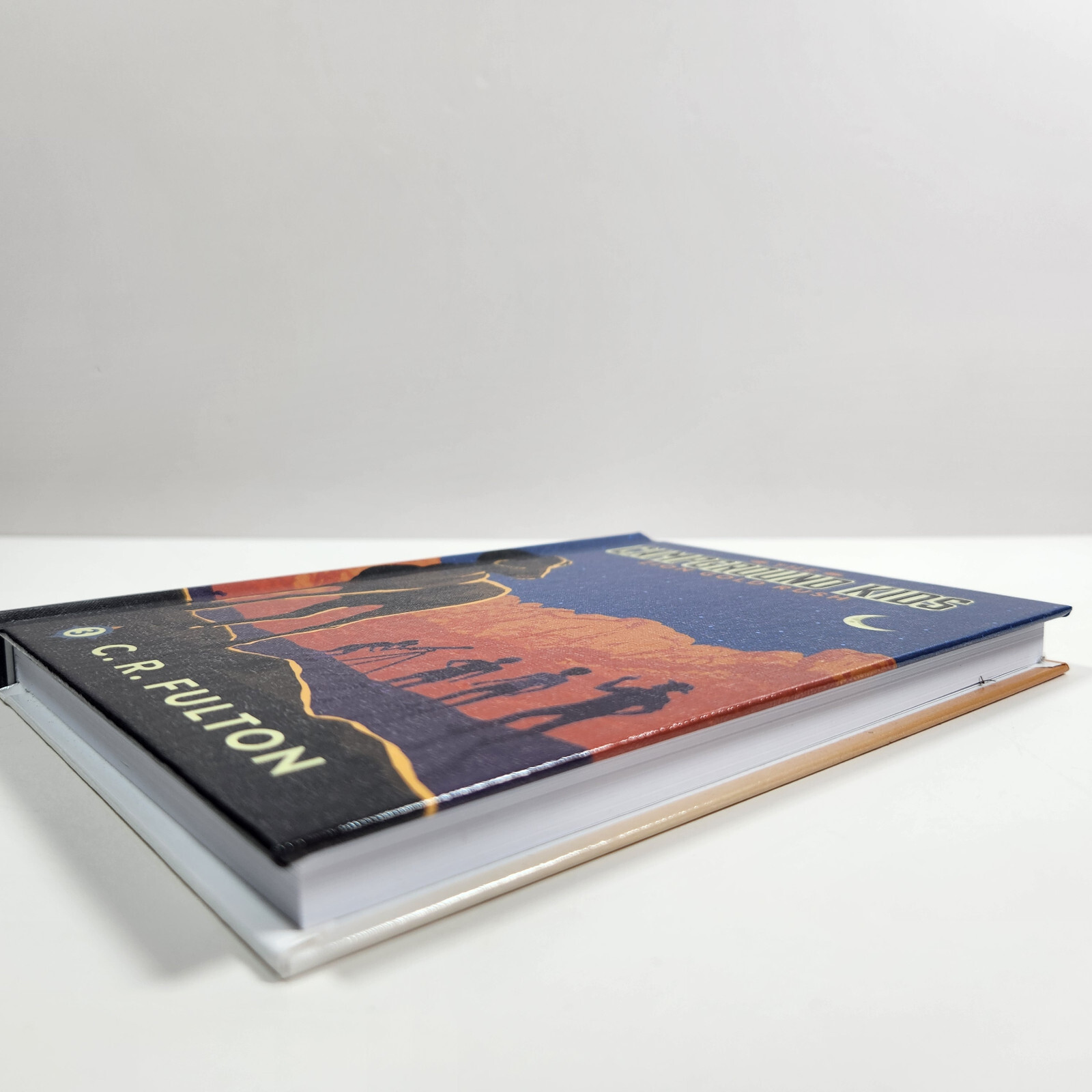 Zion Gold Rush Campground Kids 3 CR Fulton Library Bound Edition 2024 Ages 7-11