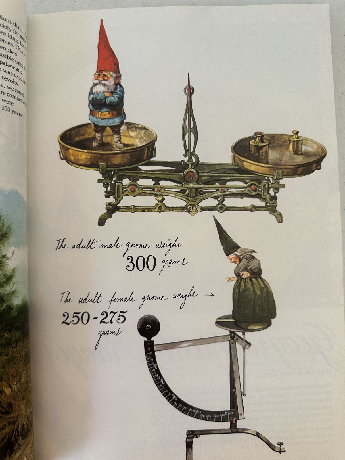 Gnomes Huygen Poortvliet 1979 1st PB printing art fairy fantasy VTG forest draw