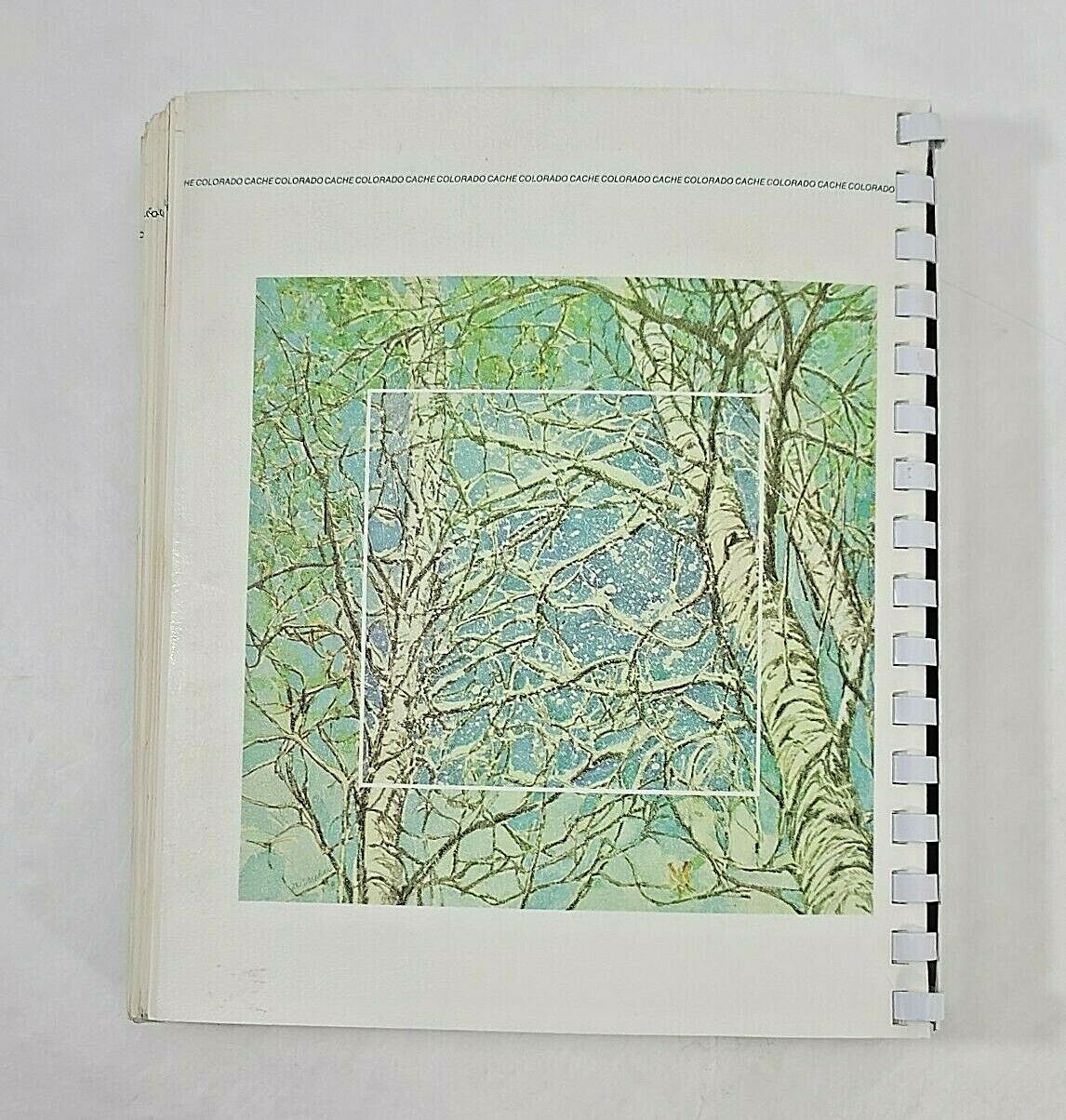 Vintage Colorado Cache Cookbook 430 pages Junior League Denver Recipes Spiral