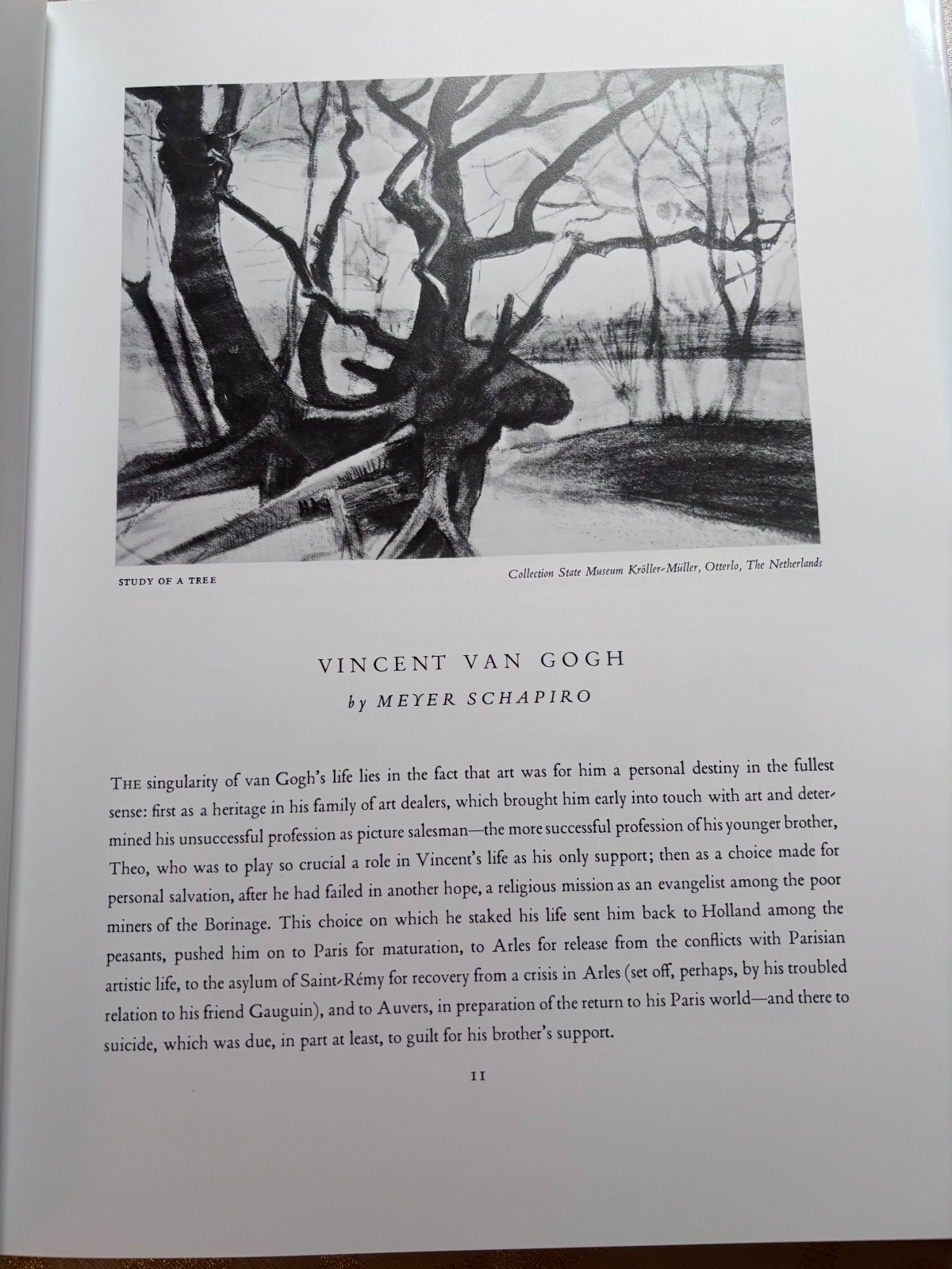 Van Gogh by Meyer Schapiro (1994, large format Hardcover) 132 pages in English