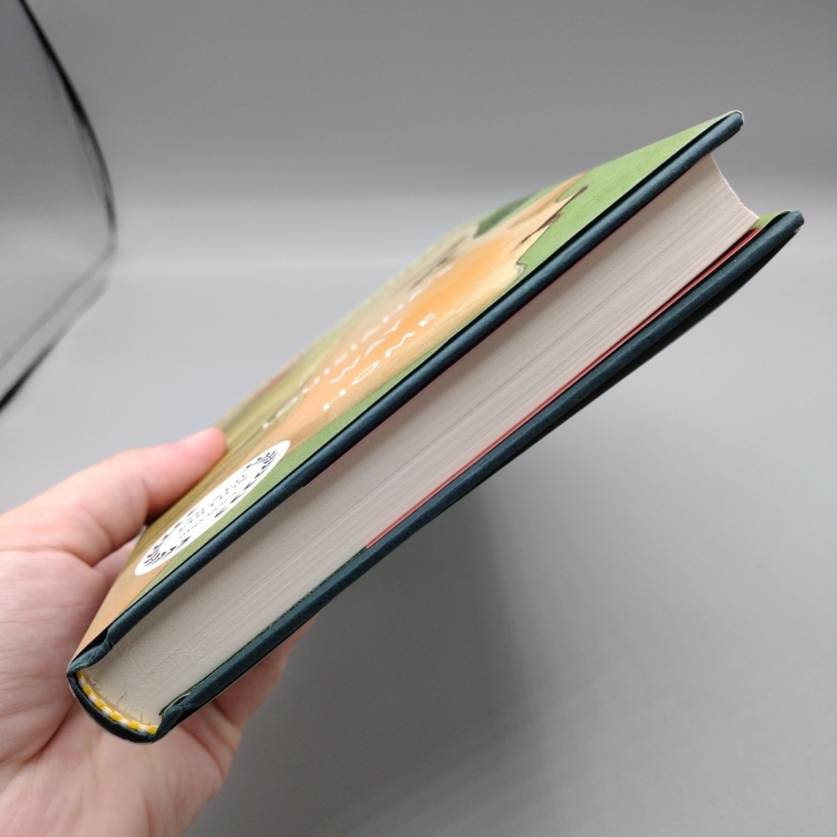 Louisiana’s Way Home Hardcover By Kate DiCamillo Signed Edition Parnassus Books