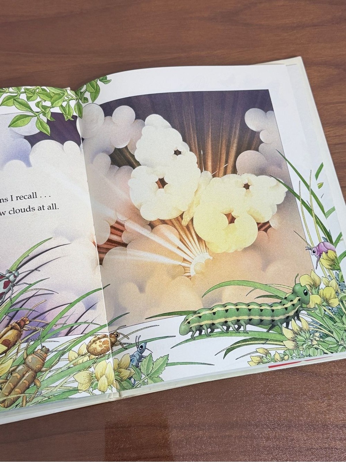 Joni Mitchell Both Sides Now 1992 HCDJ Illustrated Schoolastic Kid’s Book