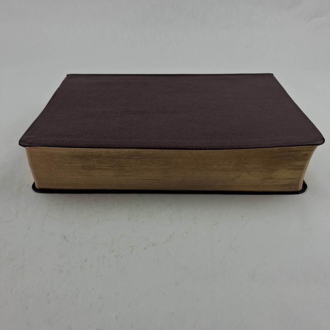 The Quest Study Bible New International Version Bonded Leather Large Print