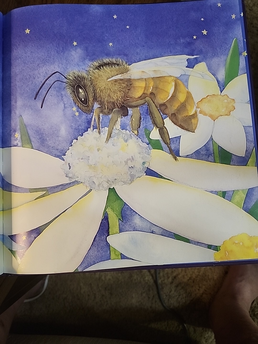Time For Bed And Tops & Bottoms Kids Books