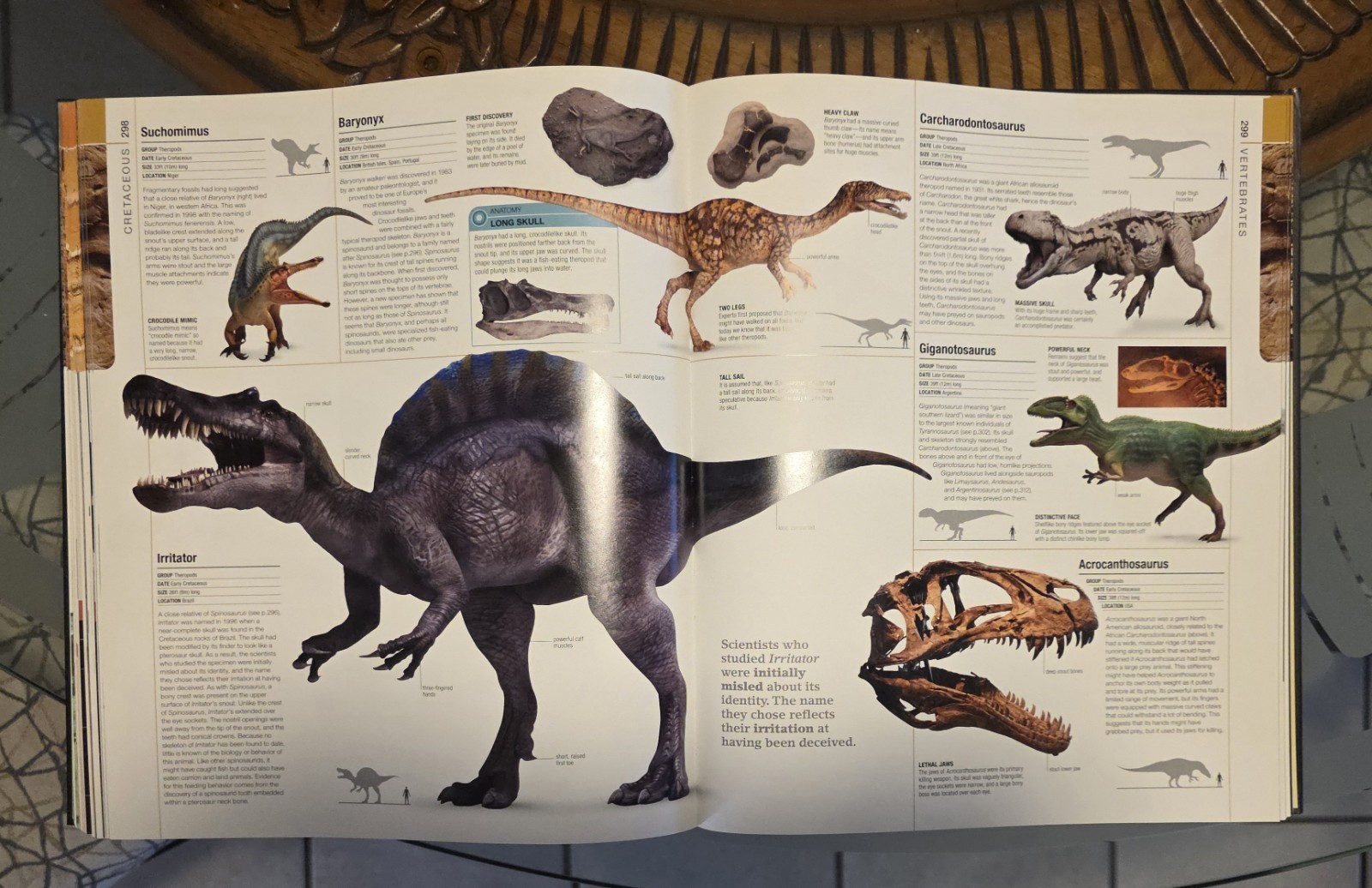 dk definitive visual guide encyclopedia / prehistoric, history, universe 4 books