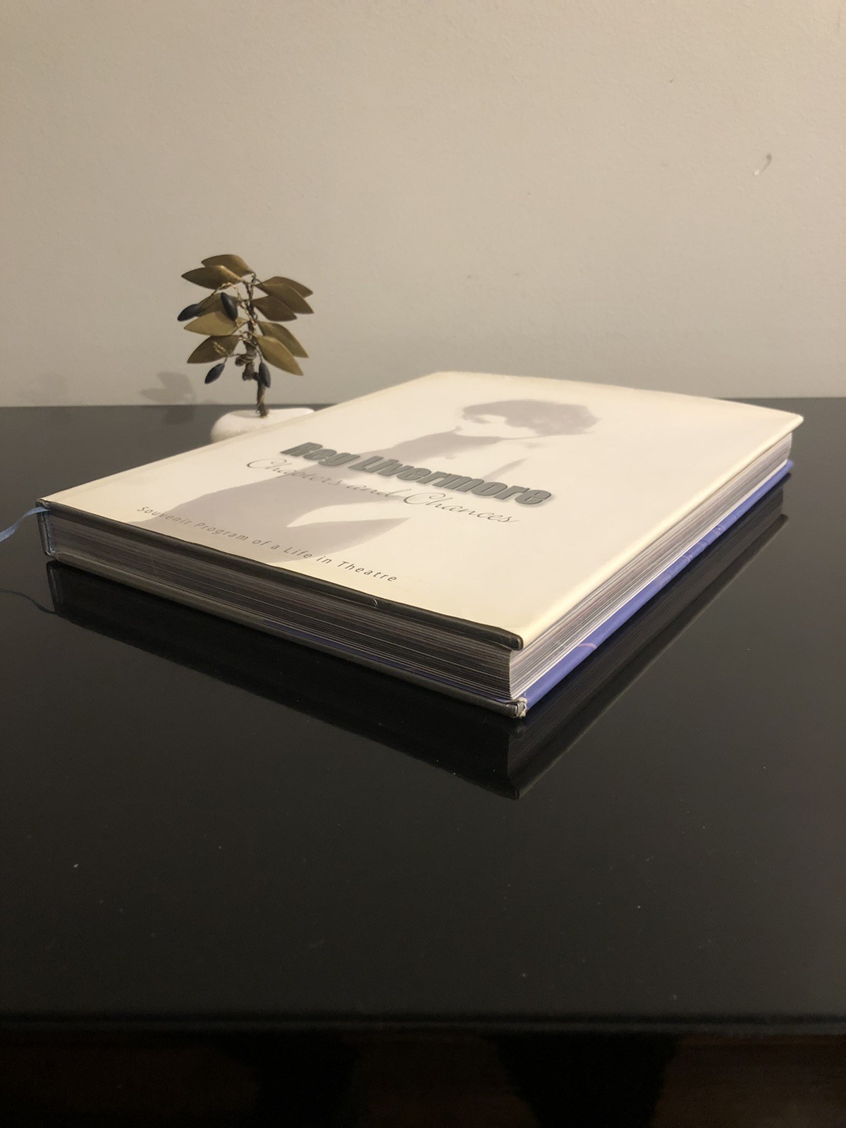 Reg Livermore Chapters And Chances H G B 2003 First Ed/F.Print HC DJ LN 🇦🇺🎭