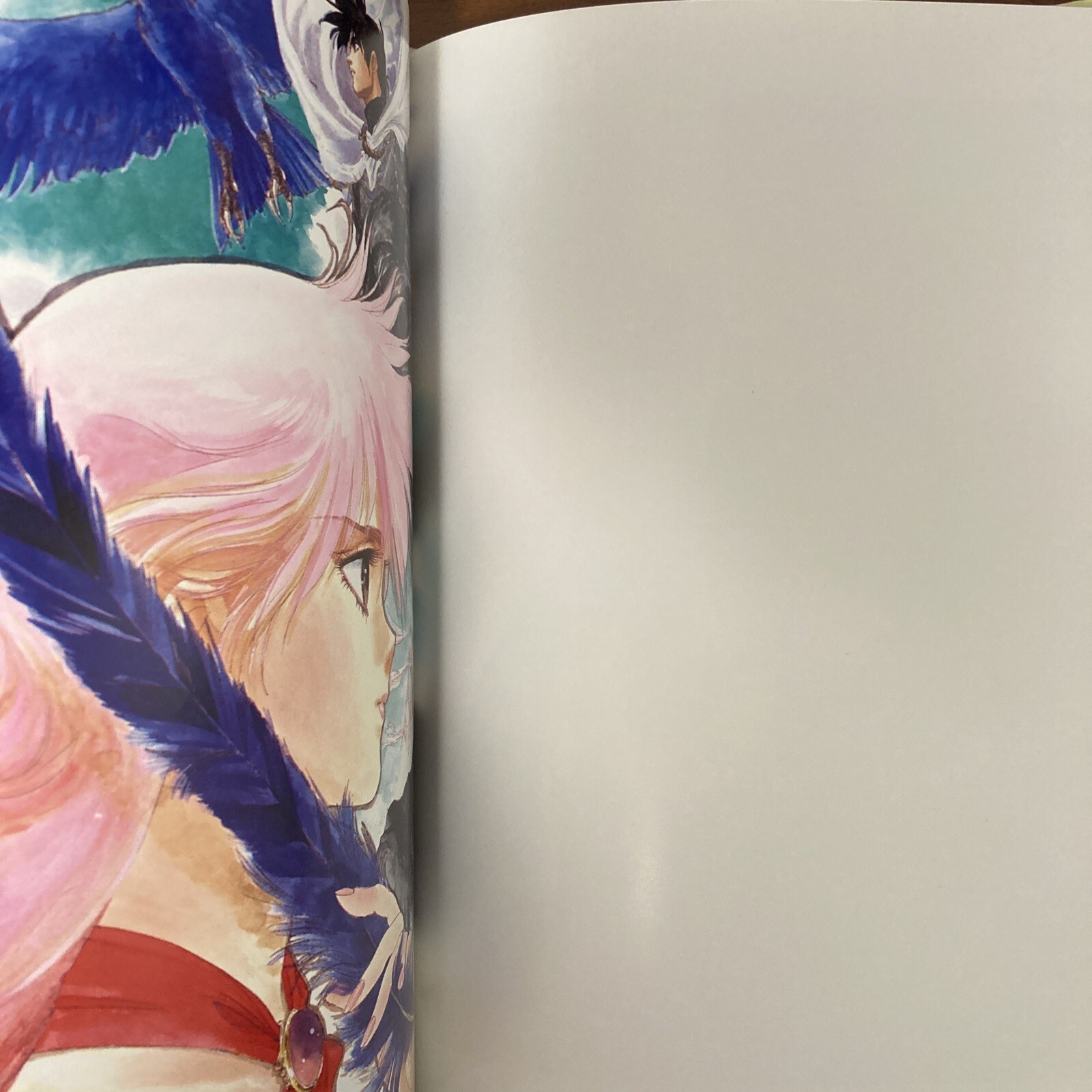 DRAGON QUEST Mutsumi Inomata Art Book Illustration