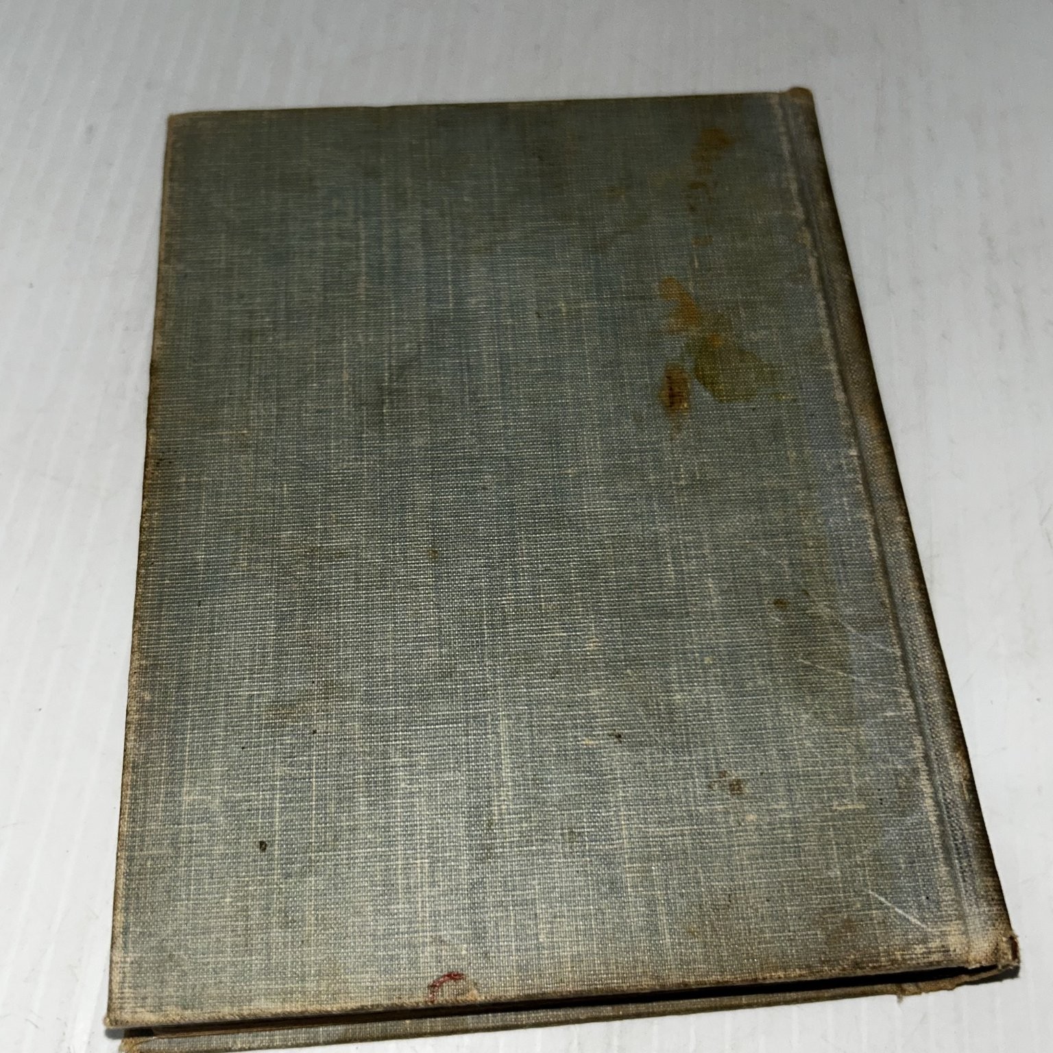 Queer Janet Grace Le Baron 1897 Illustrated Children’s Juvenile Lee & Shepard