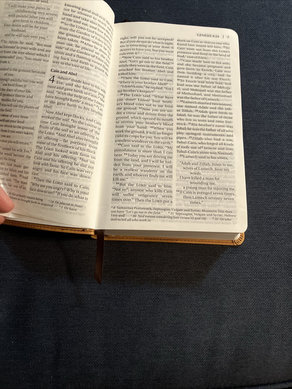 Holy Bible NIV Pew Bible, Large Print, 2009 Zondervan, Amber Duo-Tone Leather