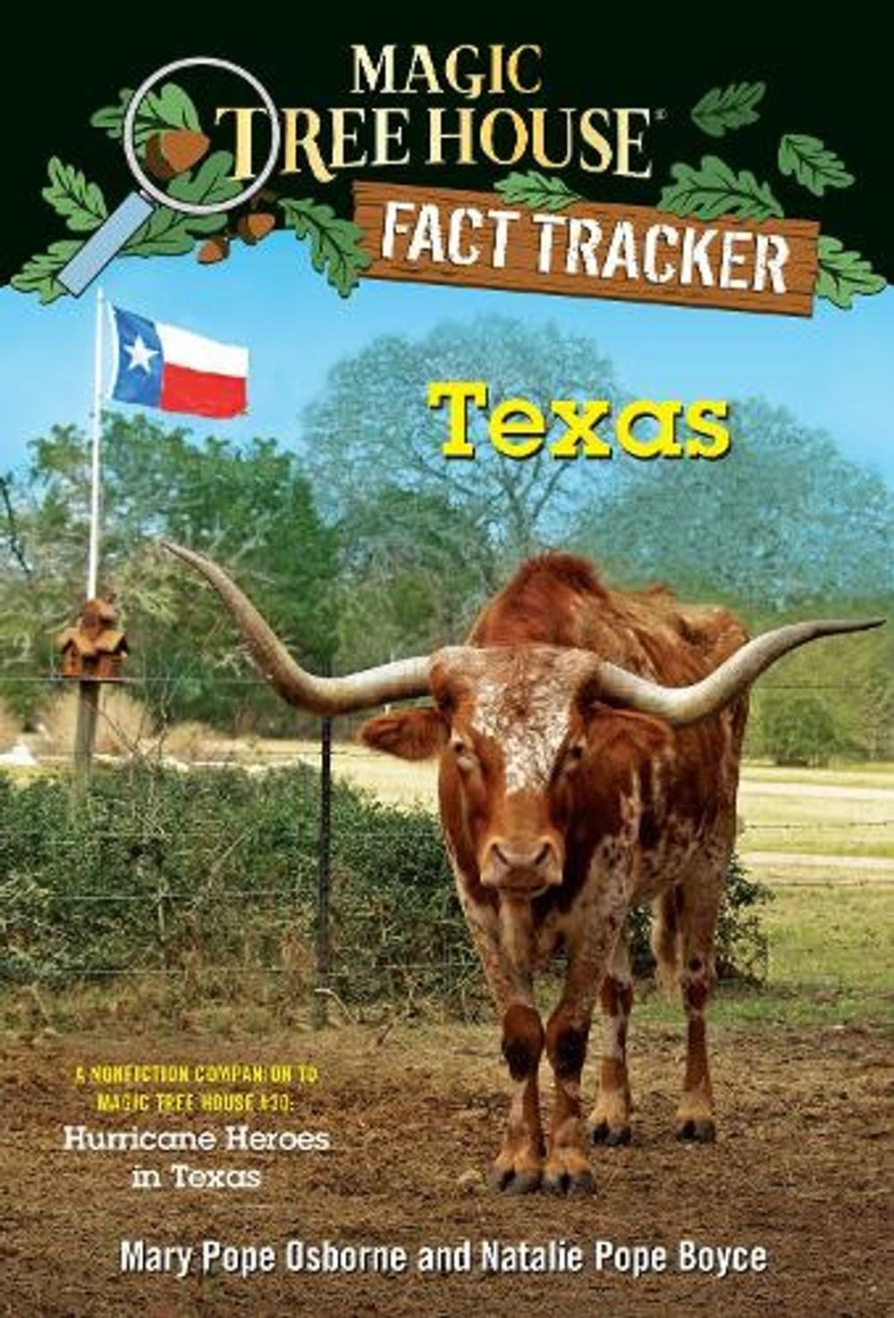 Texas by Natalie Pope Boyce (English) Paperback Book