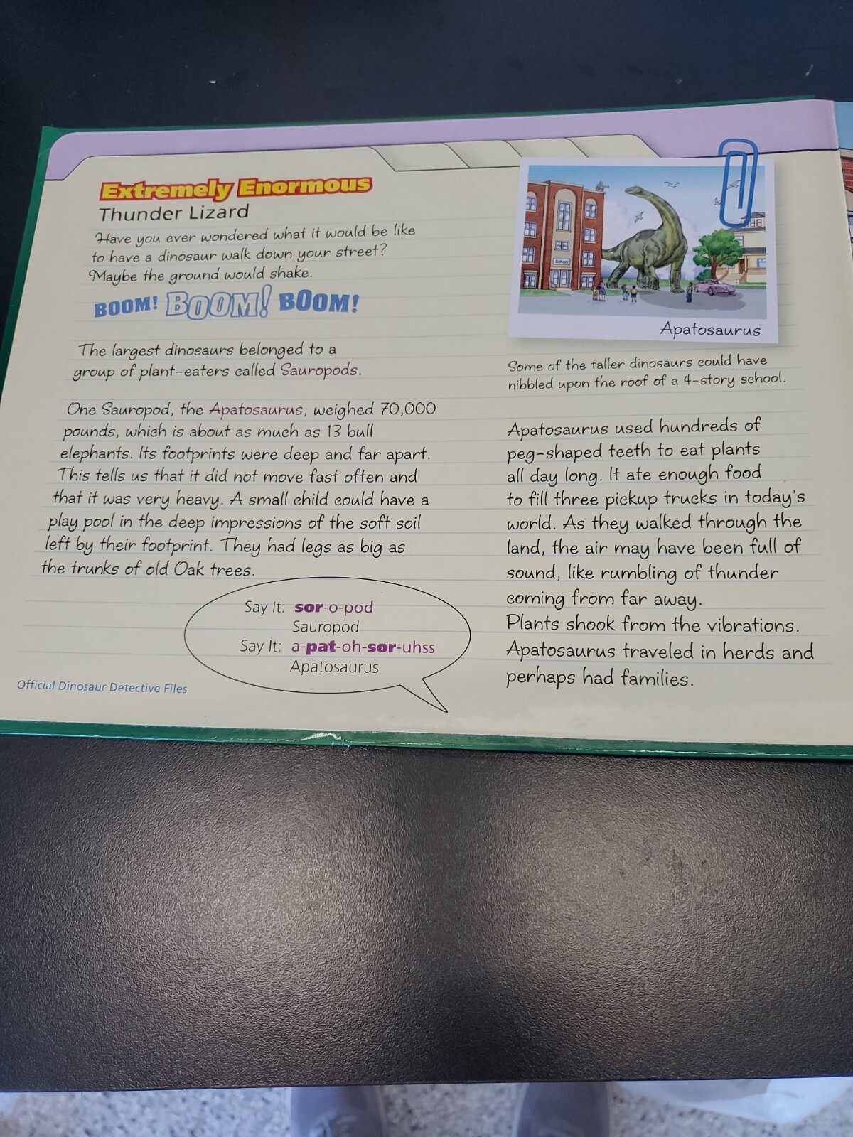 Discovering dinosaurs Book and 5 jigsaw puzzles