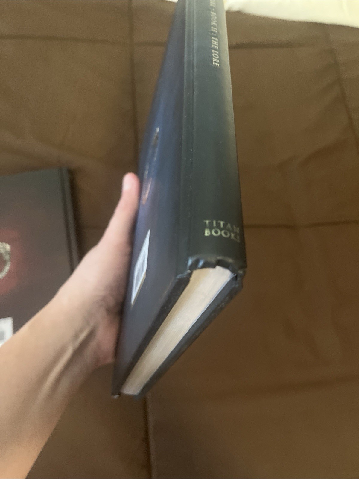 The Elder Scrolls 6 Tamriel Books Skyrim Oblivion Morrowind Online Video Game